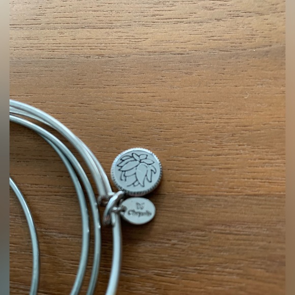 WindandFire 7 stackable silver metal charm bracelets. All different. EUC. - Picture 9 of 9